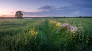 Frühlingserwachen: Diese 6 Parfums duften nach taufrischer Blumenwiese